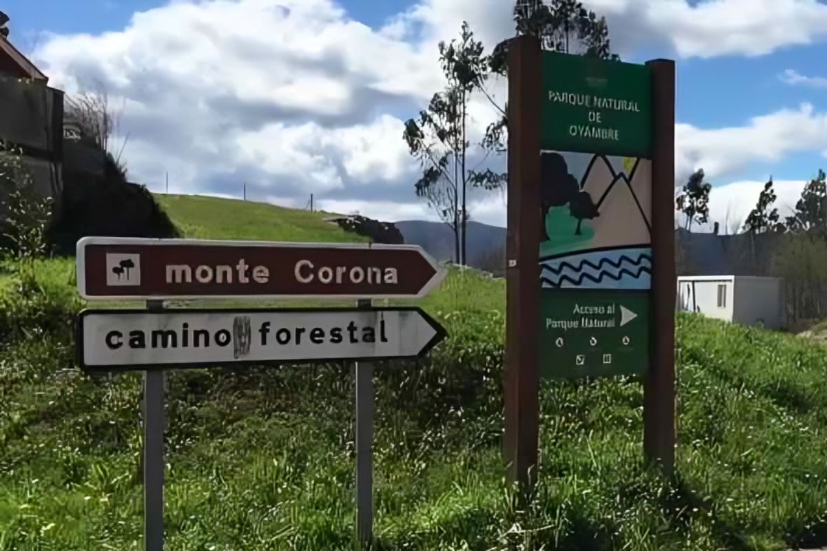 En este momento estás viendo Montes y picos cerca de Valdáliga para hacer una excursión