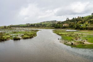 Lee más sobre el artículo Visita el Parque Natural de Oyambre