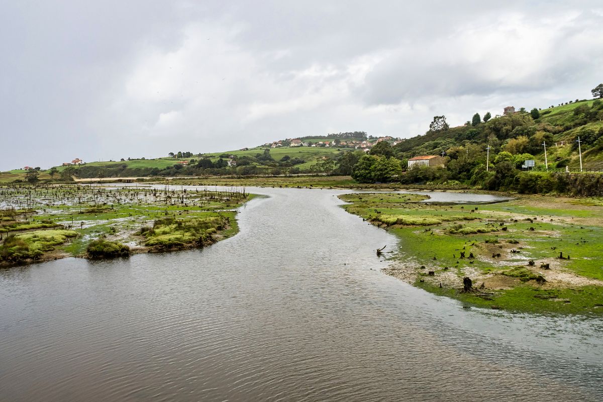 Visita el Parque Natural de Oyambre